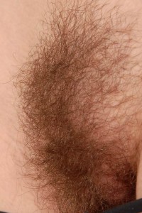 Hairy Babe