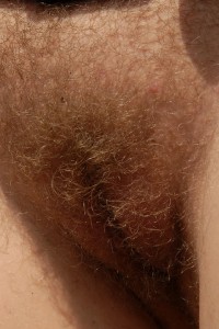Hairy Babe