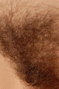 Hairy Babe