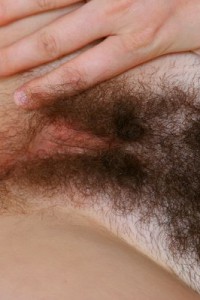 Hairy Babe