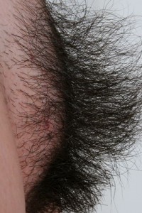 Hairy Babe
