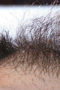 Hairy Babe