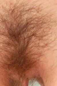 Hairy Babe