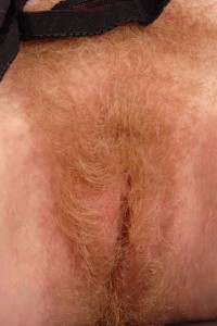 Hairy Babe