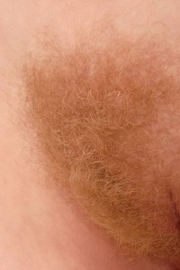 Hairy Babe