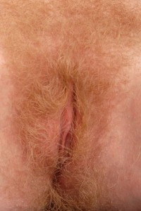 Hairy Babe
