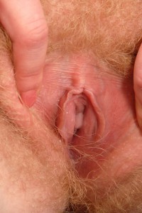 Hairy Babe